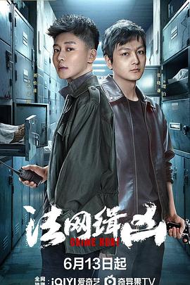 法网缉凶第12集